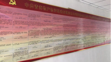 物產(chǎn)配送公司黨委“黨的建設(shè)重點(diǎn)強(qiáng)化年”活動(dòng)2018年工作任務(wù)、組織保障具體化